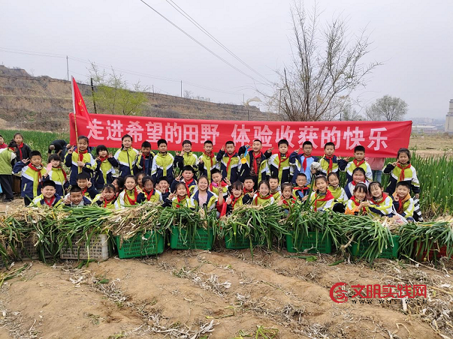 山西闻喜:走进希望的田野 体验收获的快乐 图片4.png