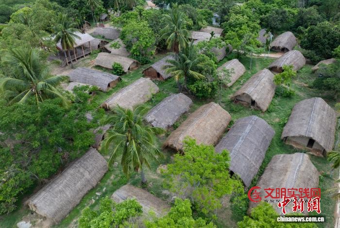 海南苗族女儿的“雨林故事”:真正的守护是“共生” 海南苗族女儿的“雨林故事”:真正的守护是“共生”