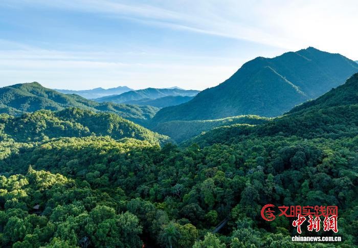 海南苗族女儿的“雨林故事”:真正的守护是“共生” 海南苗族女儿的“雨林故事”:真正的守护是“共生”