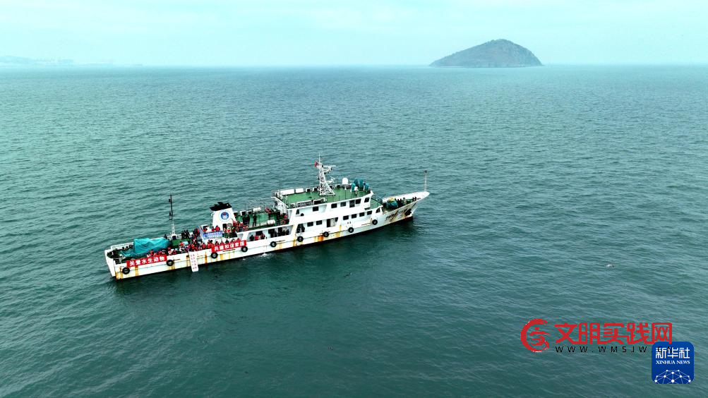 保护救助、人工繁育 我国放归5头西太平洋斑海豹