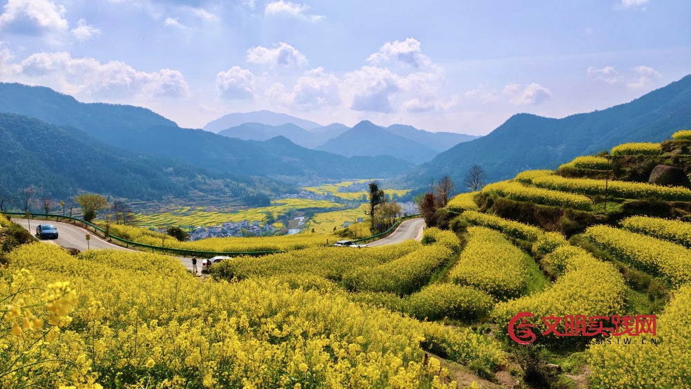 这份原生态，守住了春天最硬核的美！