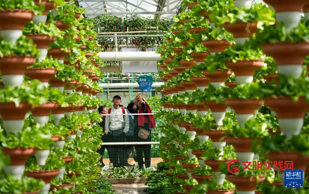 第二十七届中国（寿光）国际蔬菜科技博览会开幕