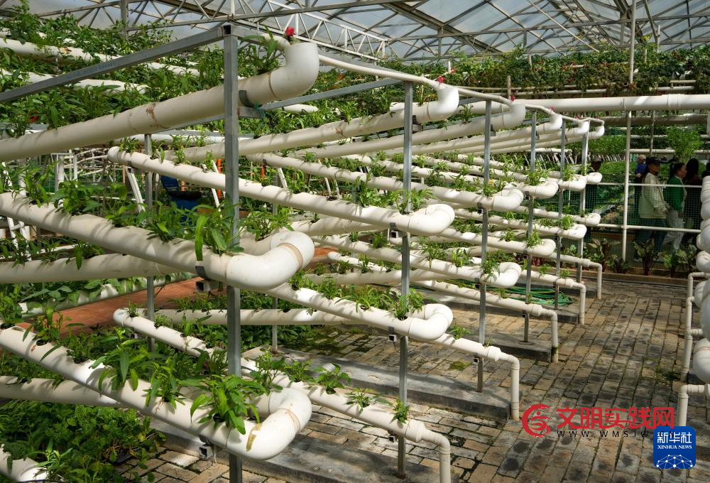 第二十七届中国（寿光）国际蔬菜科技博览会开幕