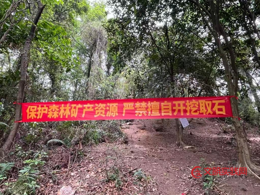 广州黄埔暹岗大山被采挖坑洞已全部回填复绿