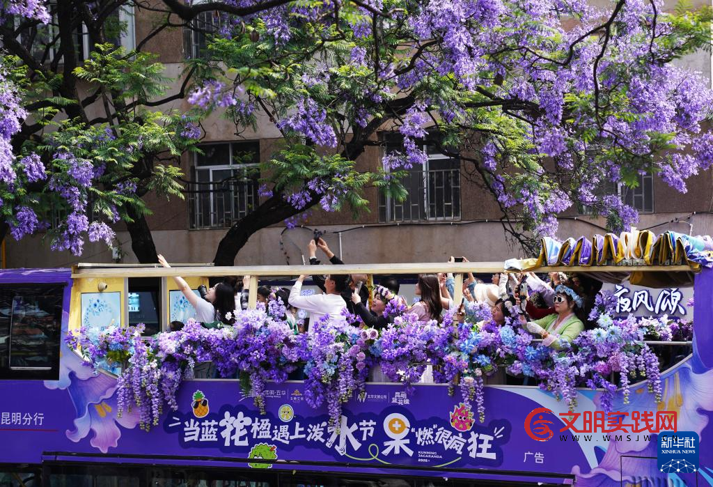 昆明：共赴紫色花海之约
