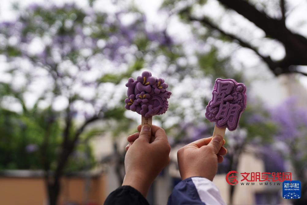 昆明：共赴紫色花海之约