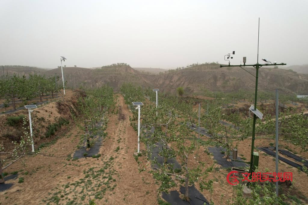 北扩西移，探访我国最大苹果种植区