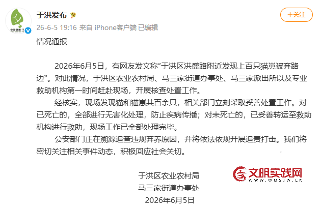 官方通报“上百只猫崽被弃路边”:将开展追责打击 官方通报“上百只猫崽被弃路边”:将开展追责打击