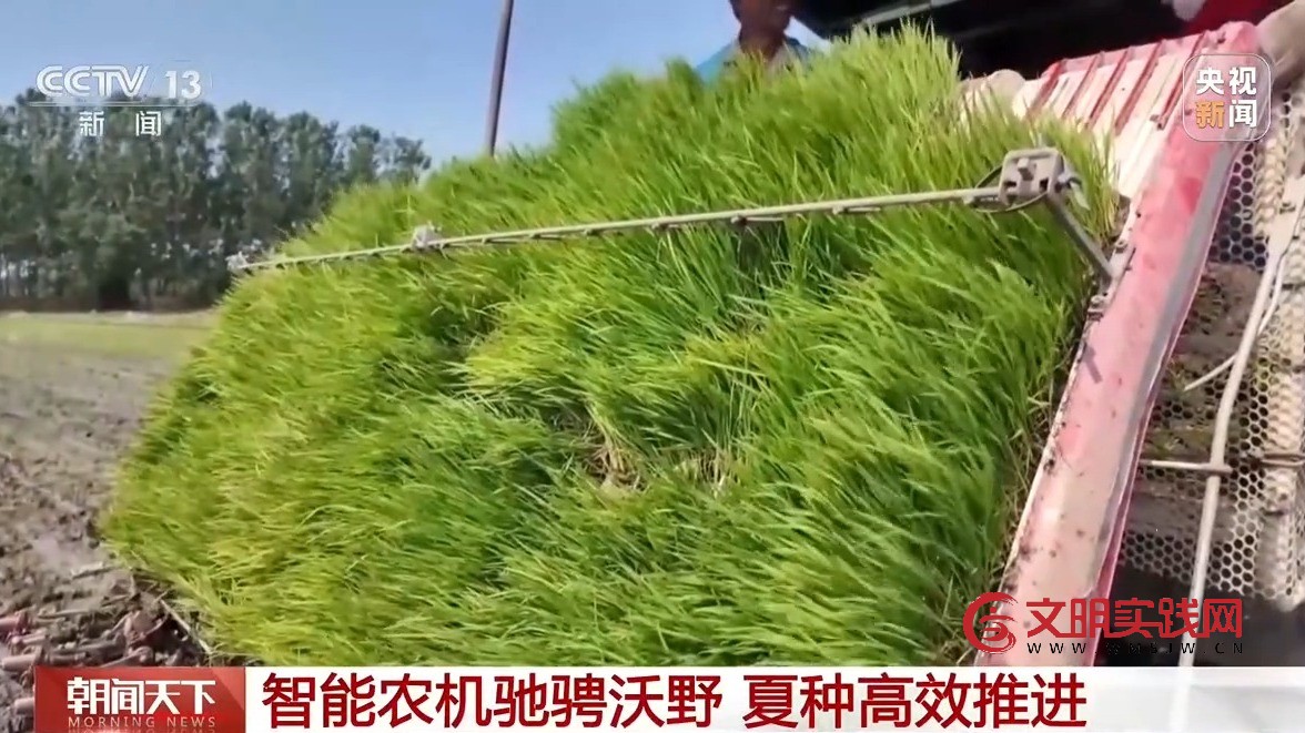科技赋能 全国夏播粮食进度近七成 科技赋能 全国夏播粮食进度近七成