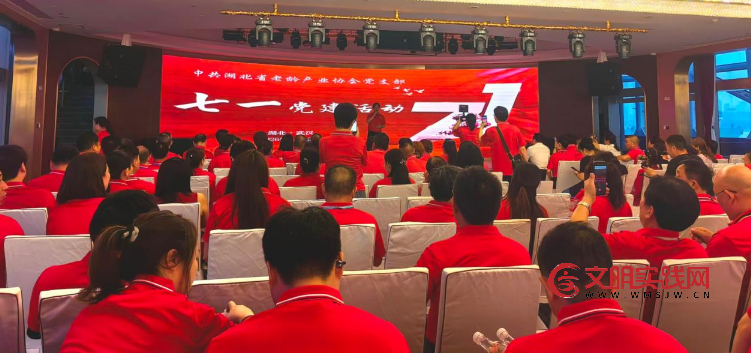 逐浪颂党恩 放歌新时代 --湖北省老龄产业协会党支部开展庆“七一”主题党日活动 image.png
