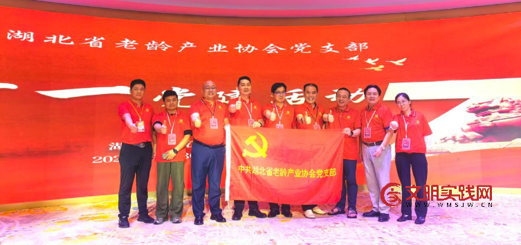 逐浪颂党恩 放歌新时代 --湖北省老龄产业协会党支部开展庆“七一”主题党日活动 image.png