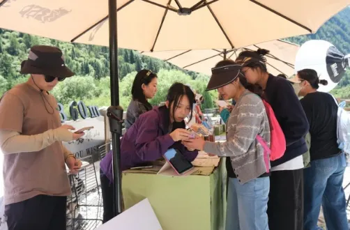 从直播间到雪山:清华学子探索文旅传播新路径 image.png